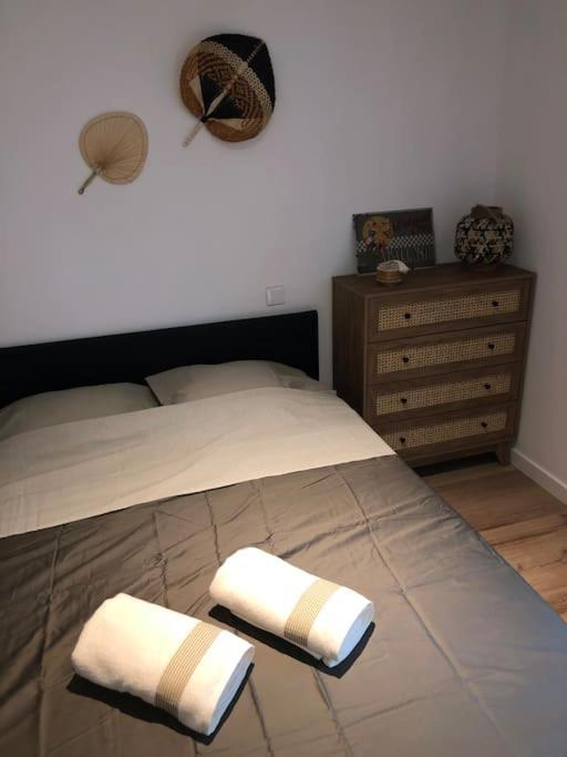 Appartement Cosy-Grand Stade Villeneuve D'Ascq Lezennes Extérieur photo